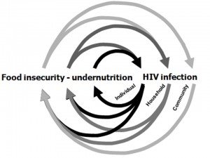 2008_HIV malnutrition cycle